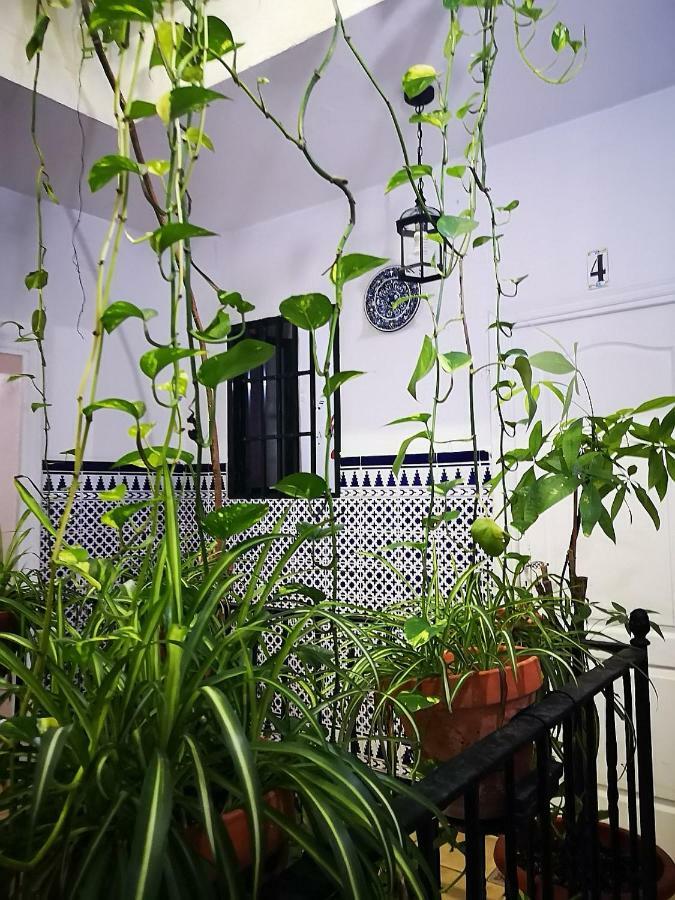 Guest house Virgen De La Luz