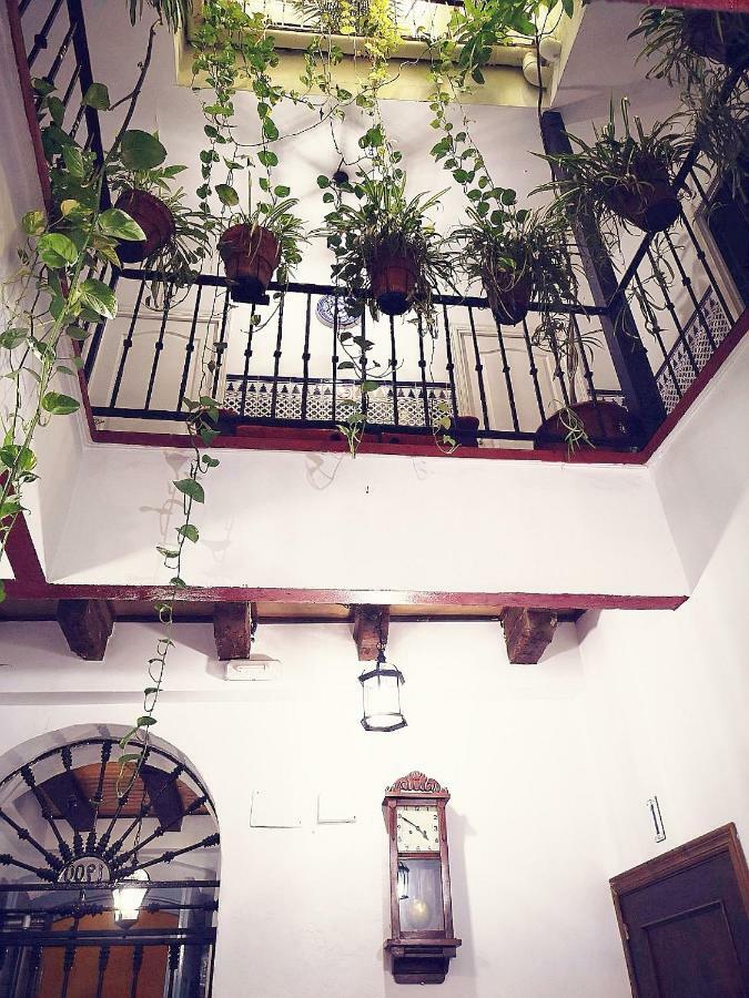 Virgen De La Luz Guest house