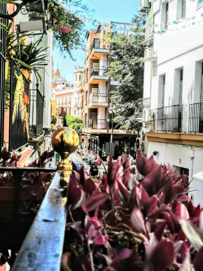 Apartamento Casa Alfalfa 2 Terraza Y Solárium Privado Sevilla