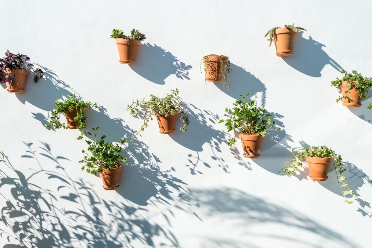 Unique House - Private Spa&pool -stayinseville * Sevilla