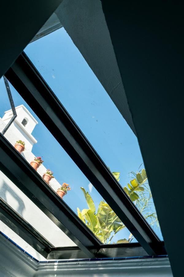 Unique House - Private Spa&pool -stayinseville *