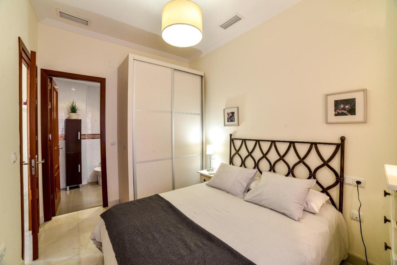 Alohamundi Zaragoza Sevilla