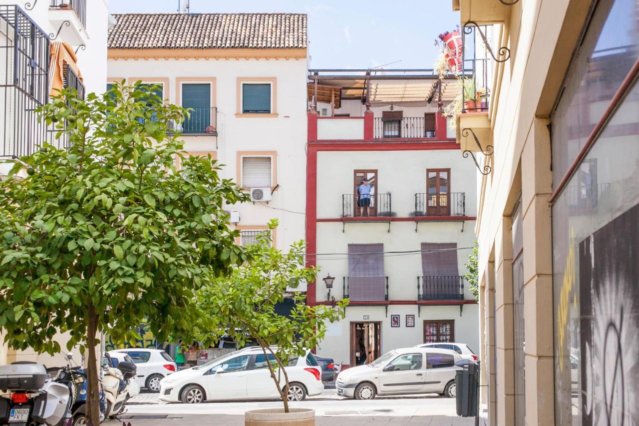 Apartment Alohamundi Castilla Ii