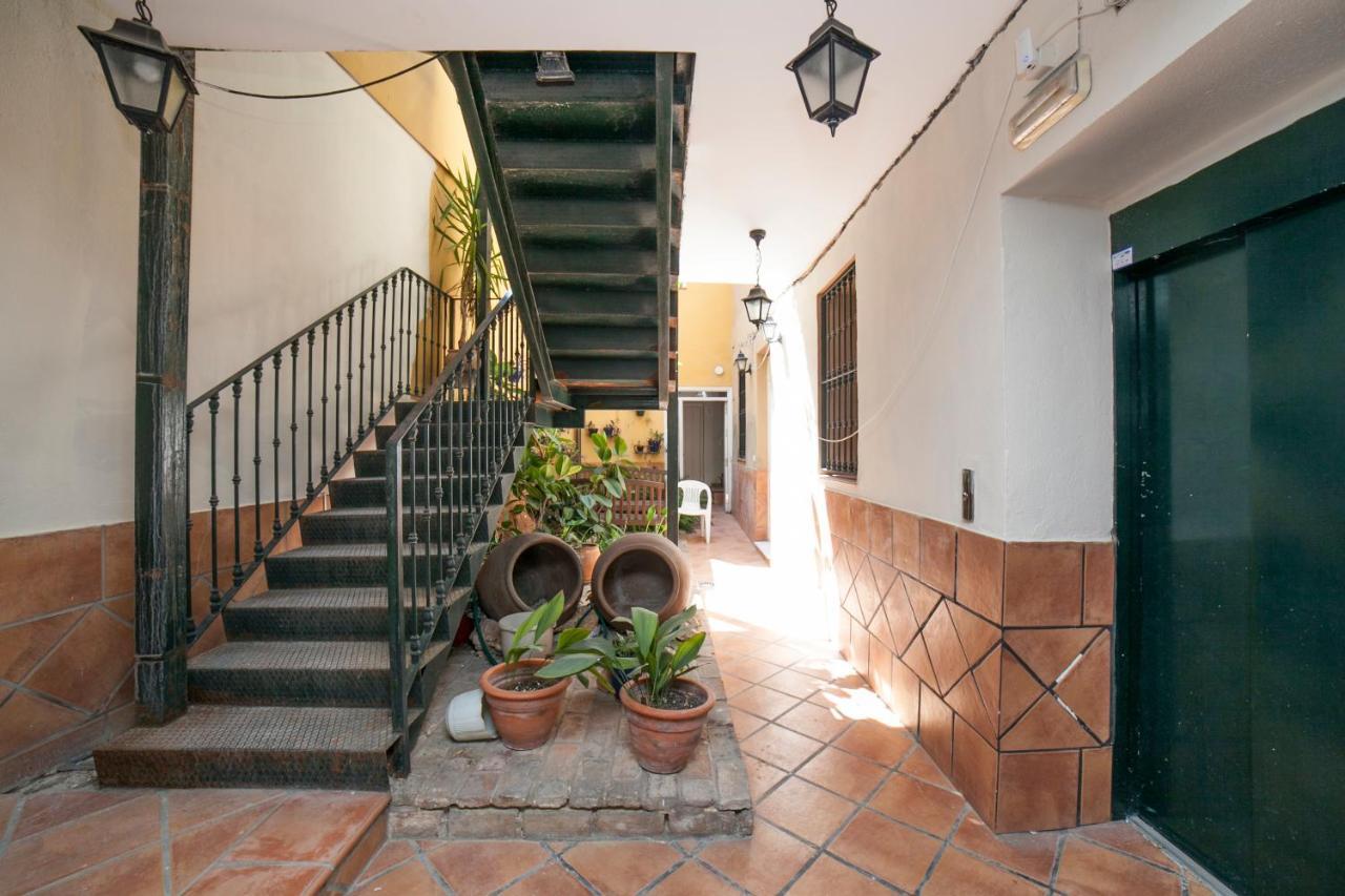 Alohamundi Castilla Ii * Seville