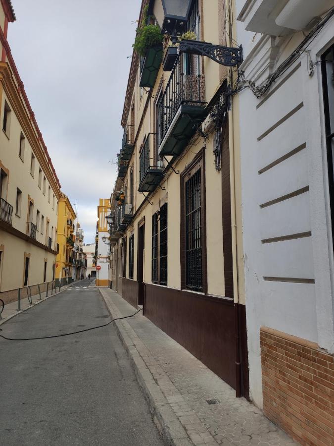 Feel The - Old Town * Seville