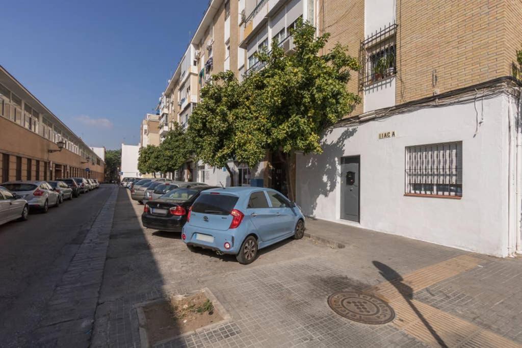 Justino Triana By Valcambre Sevilla
