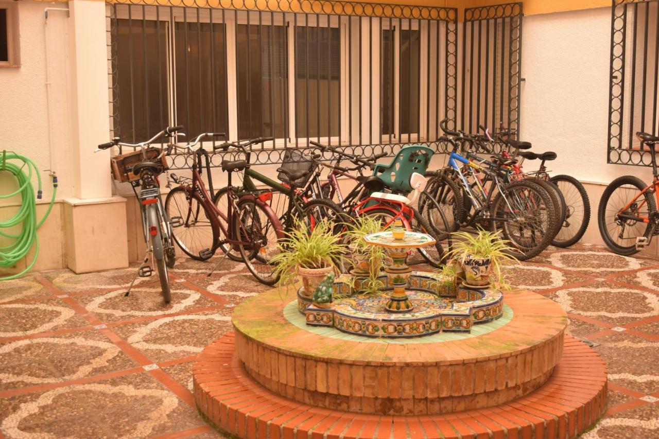 Apartment Salado Donkey Seville