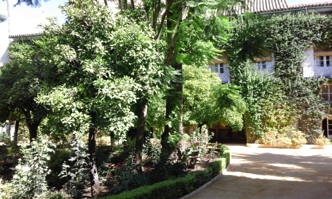Apartment Hispalis Santa Angela *