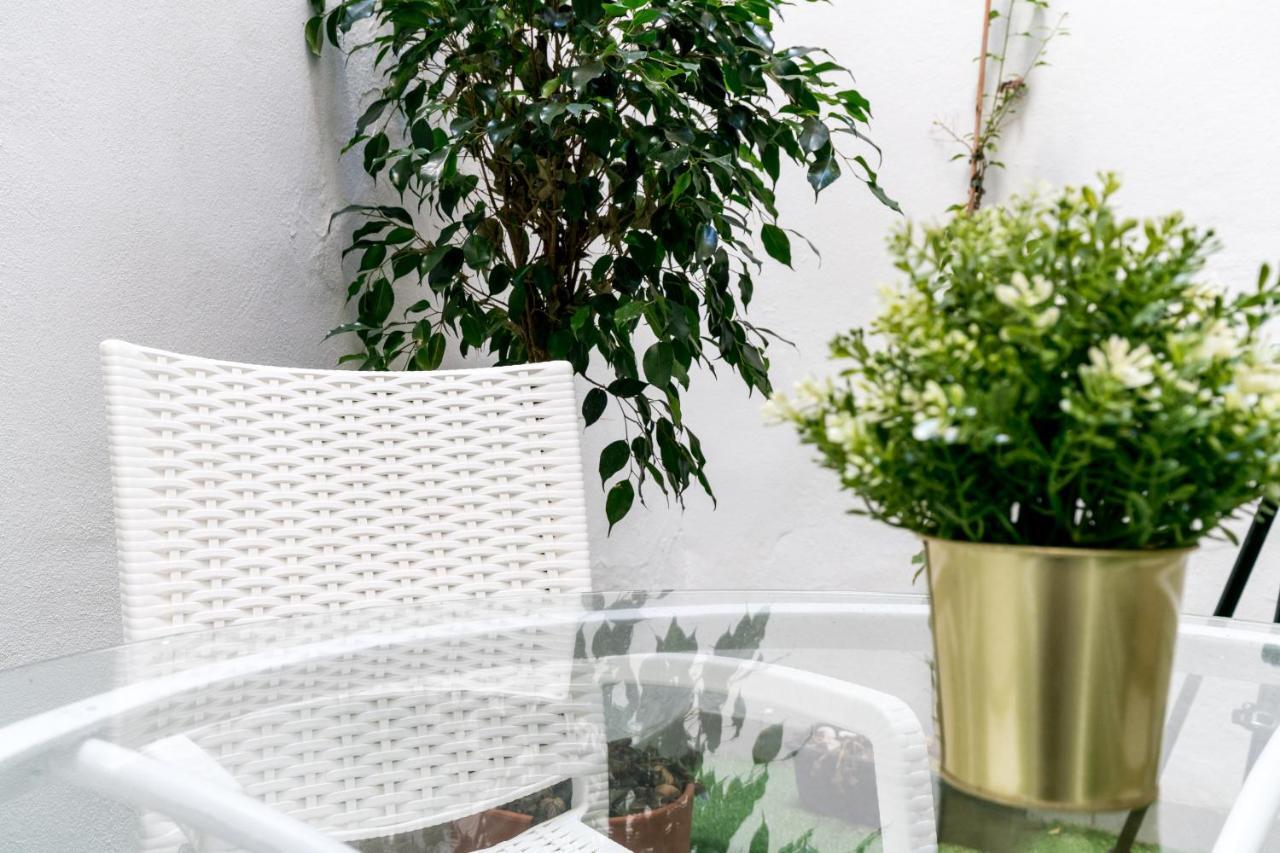Apartamento Con Terraza En El Centro Histórico
