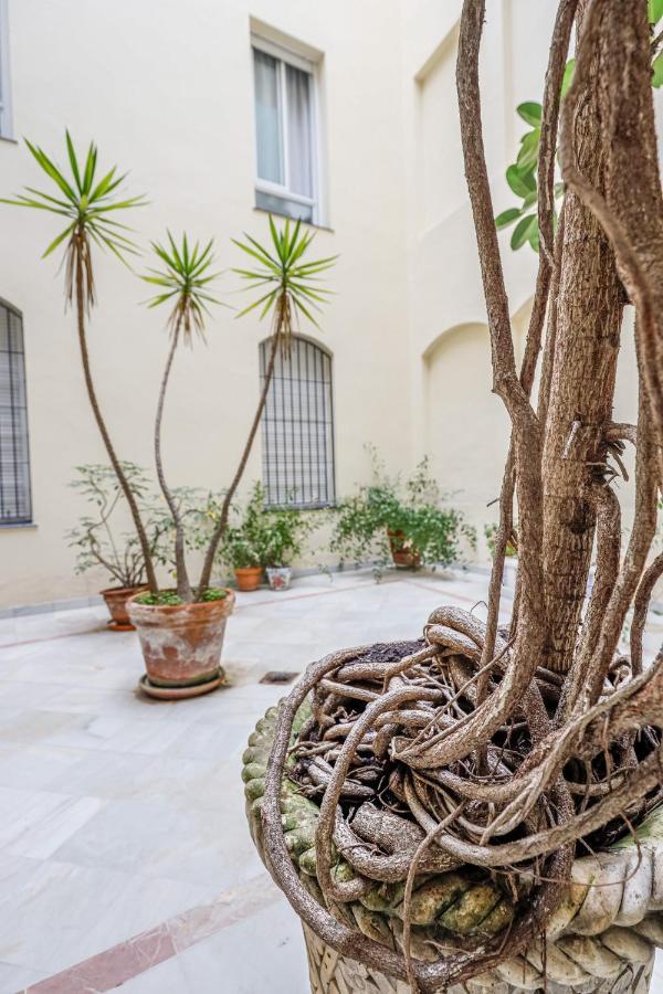 Chic&luminoso-wifiac/elegant In Salvador 2 Br Apartment *