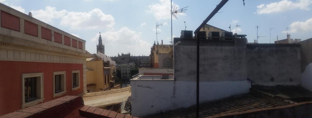 Apartamento Panther Sierpes *