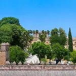 Alohamundi San Luis
