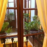 Bed & Breakfast Naranjo