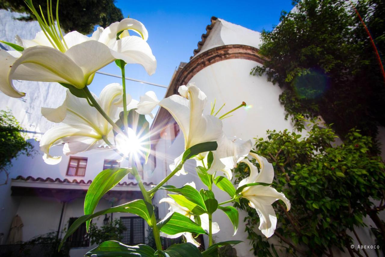 Casa Del Siglo Xvii Сasa de vacaciones *