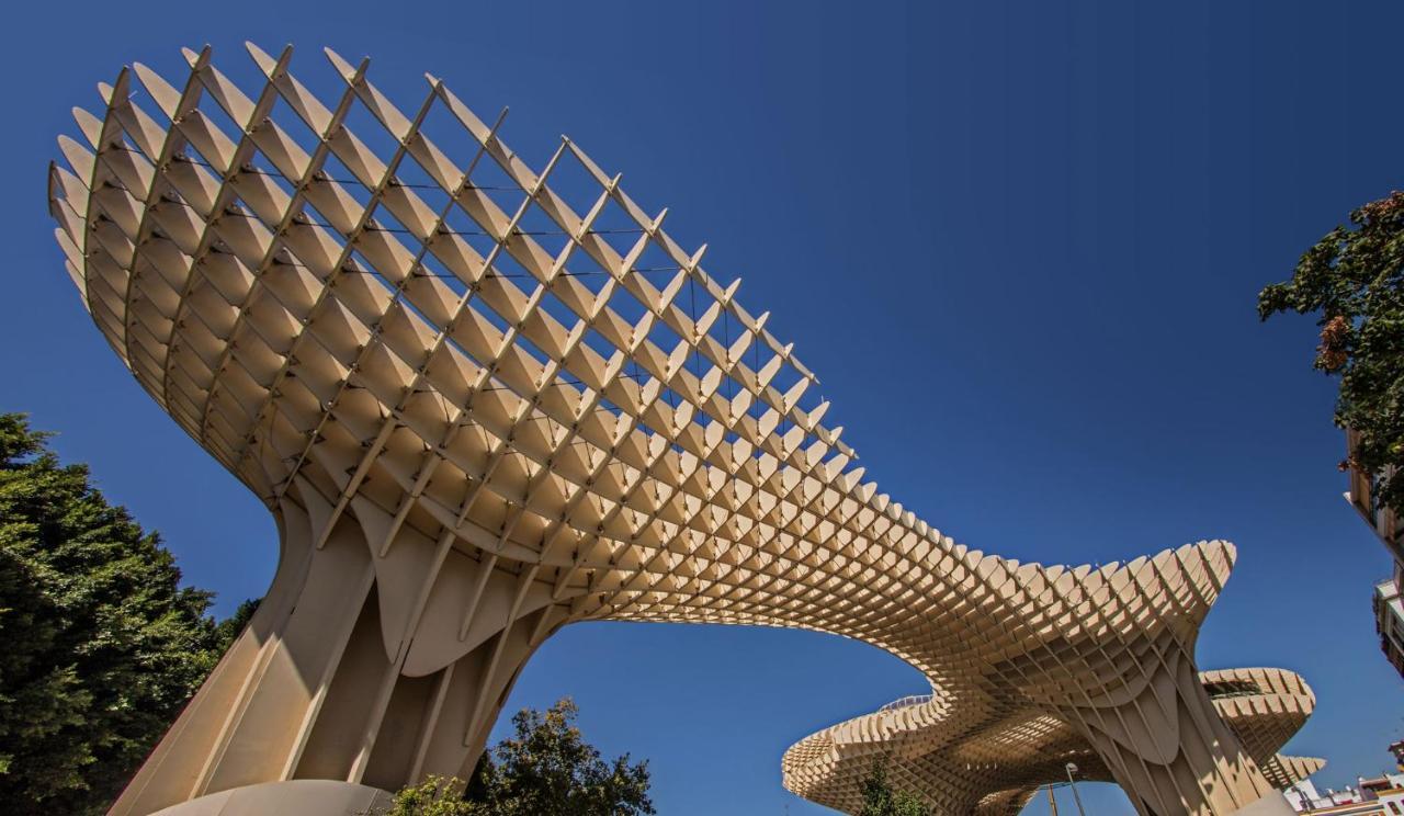 Madroño Regina * Sevilla