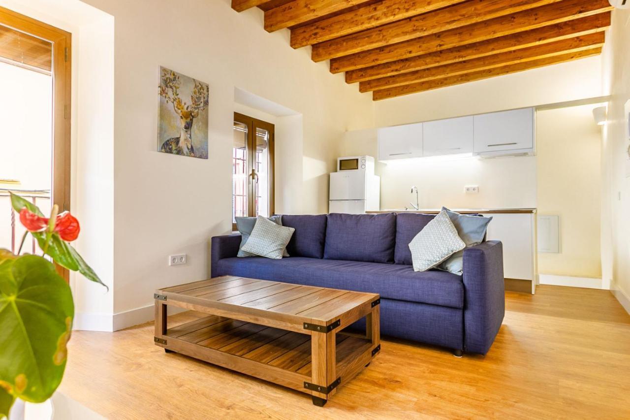 Apartment Stunning In
