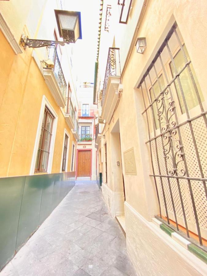 Apartment Superb In Downtown Of ,parking Optional, !!