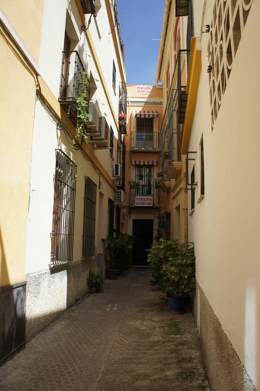 San Benito Abad * Seville