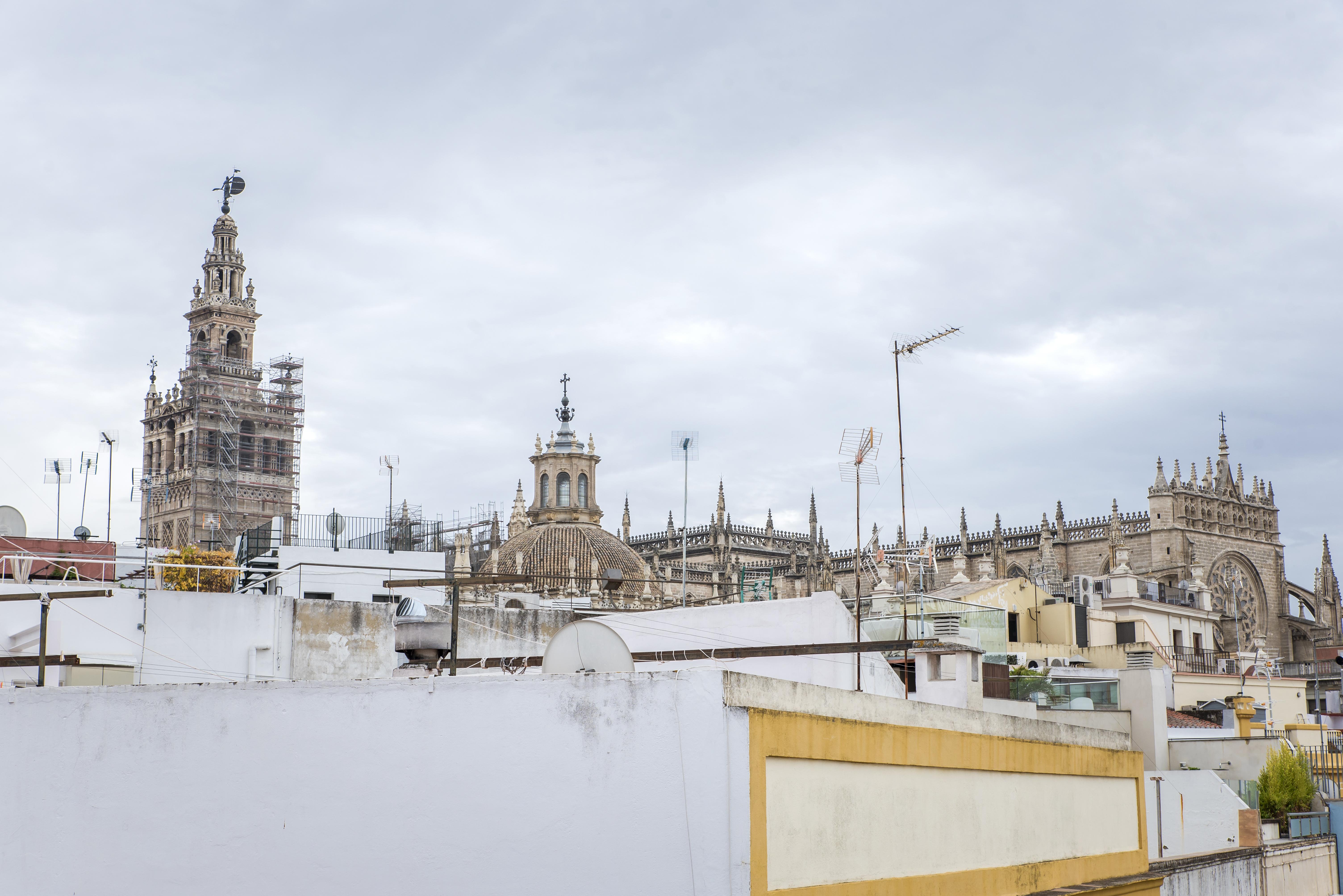 Hotel Petit Palace Marques Santa Ana 4*