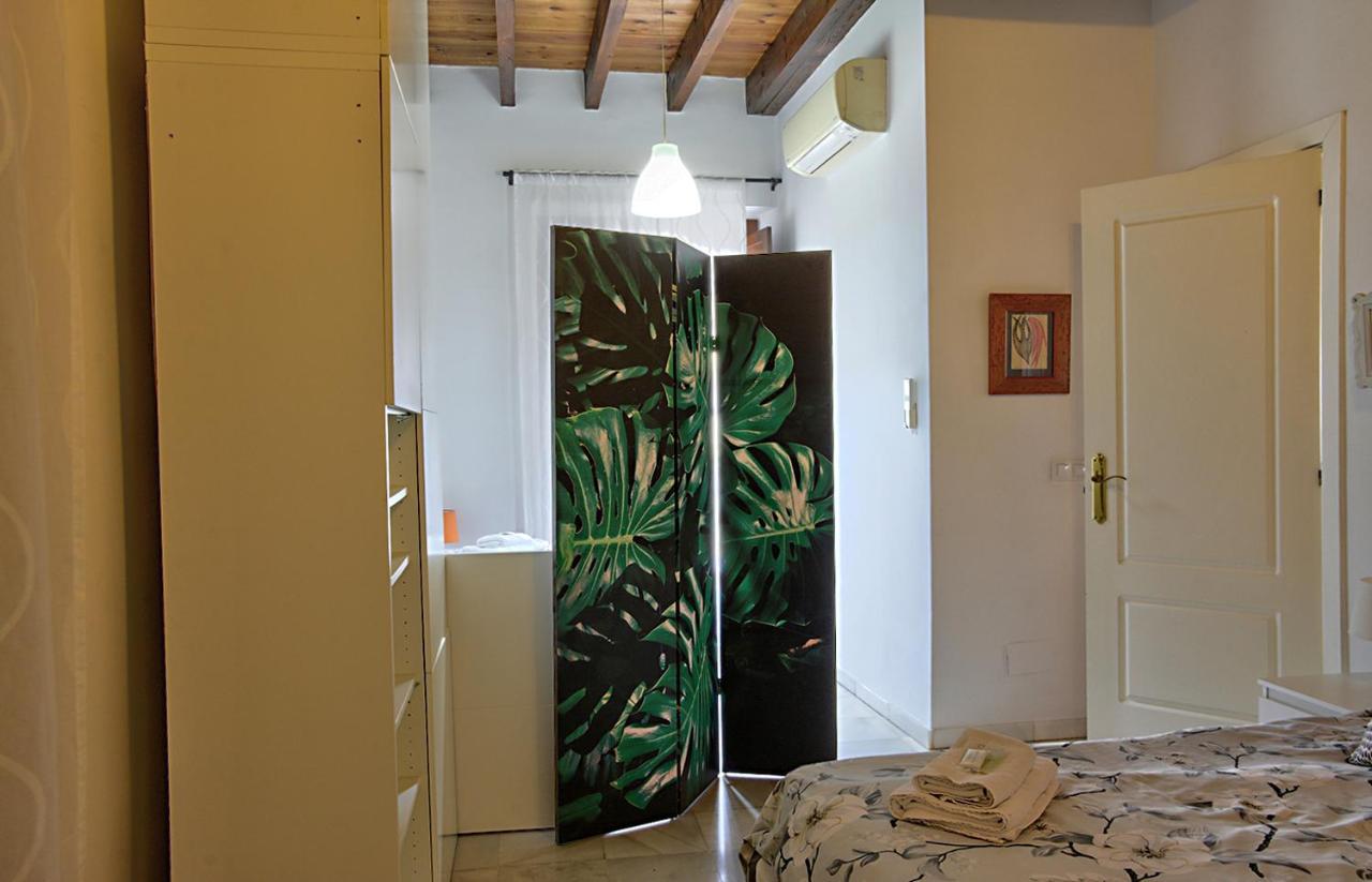 Apartment Balconies To The Orange Tree Square Seville