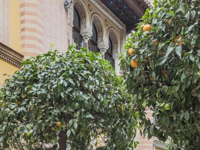 Placentines Cathedral Dreams Oasis En Santa Cruz Apartment Seville