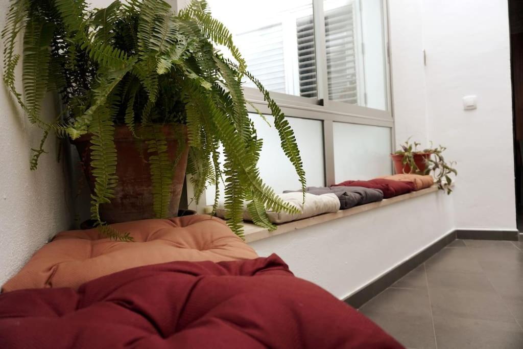 Casa Marcur Santa Cruz Holiday home *