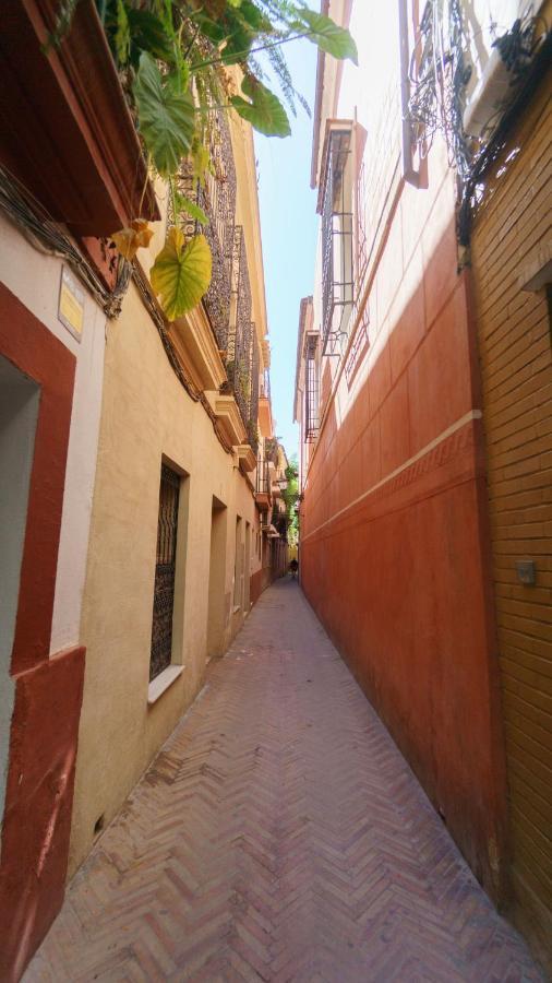 Apartment Rentalsevilla Seville