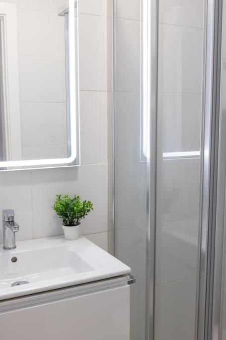 Apartamento Apartamento En Casco Antiguo *
