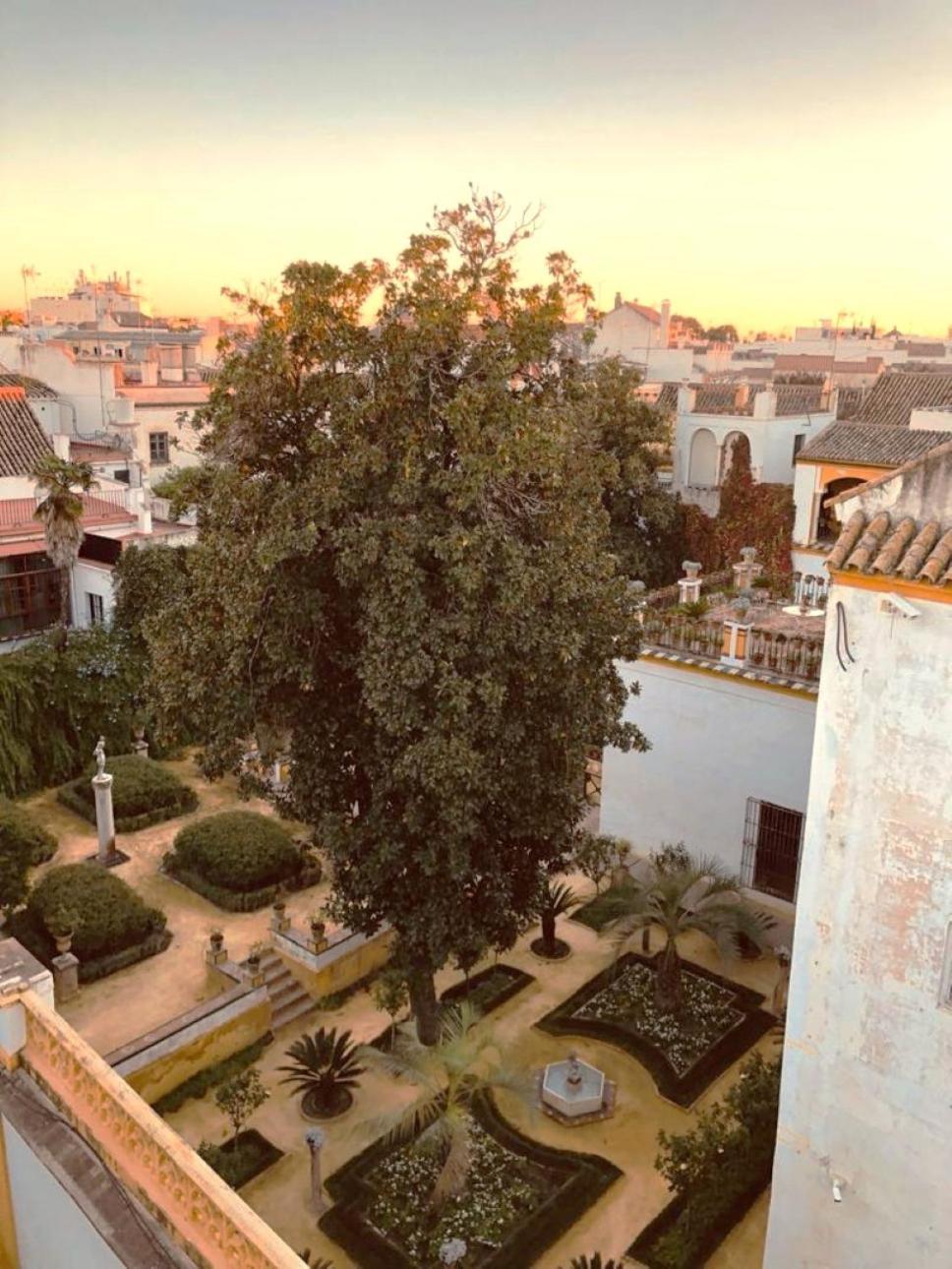 Atico Caleria Con Vistas A La Giralda Sevilla