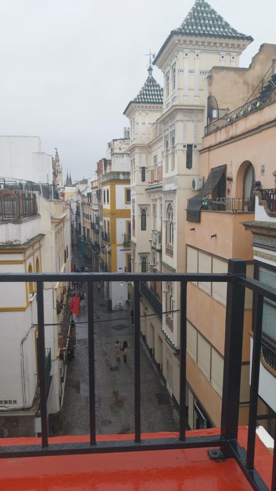 Apartamento Cuna *