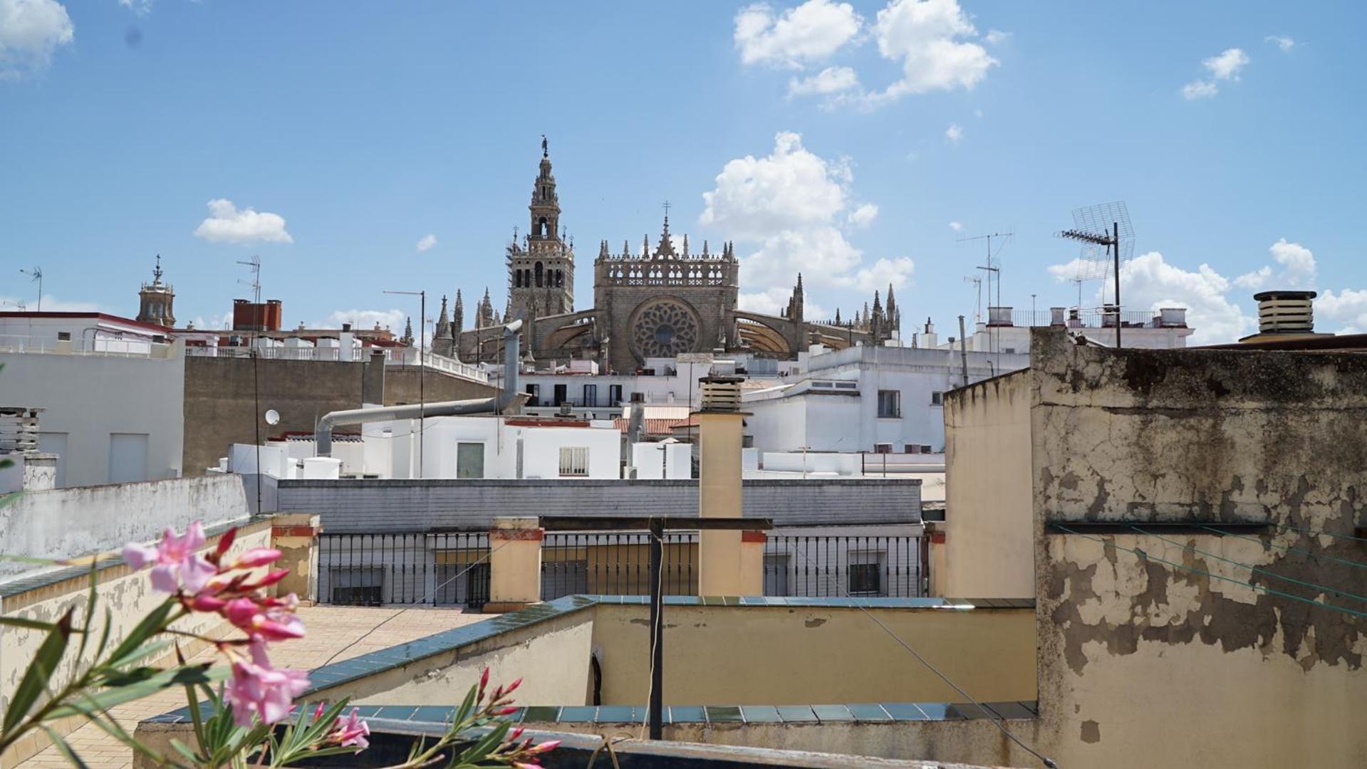 Blue House Arenal Sevilla