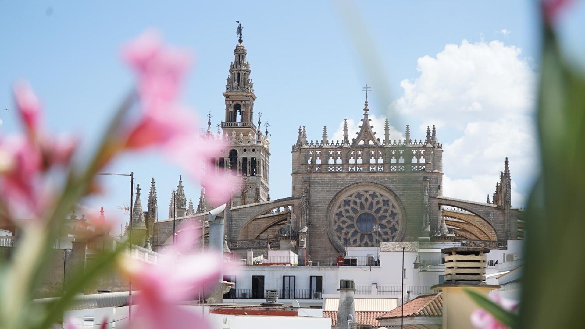 Blue House Arenal Sevilla