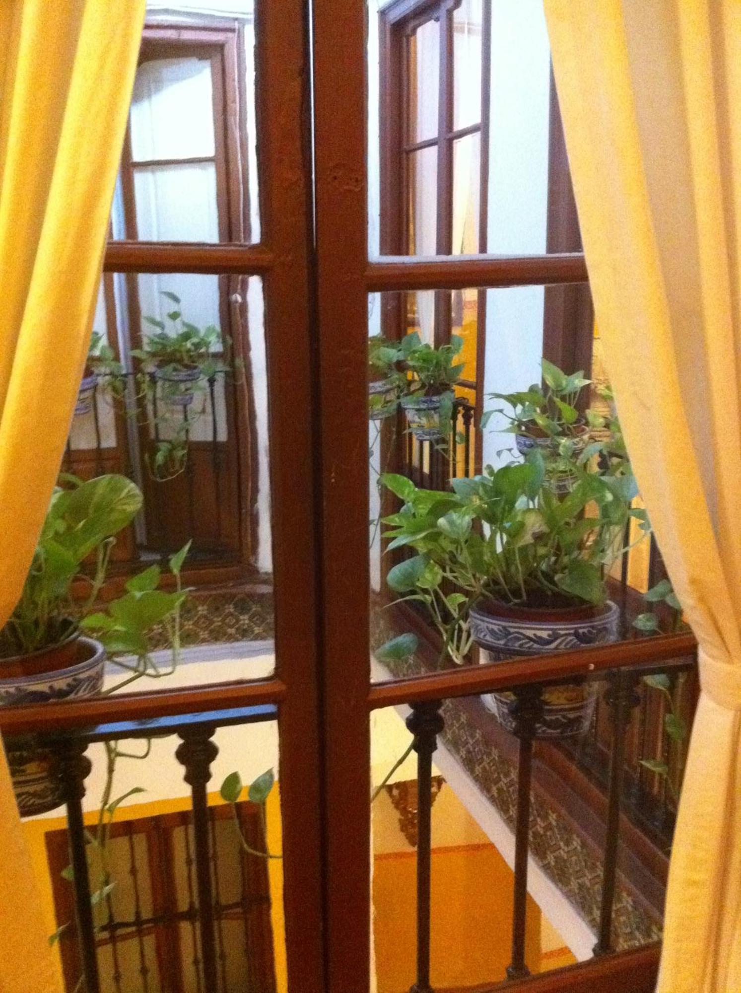 Bed & Breakfast Naranjo Seville