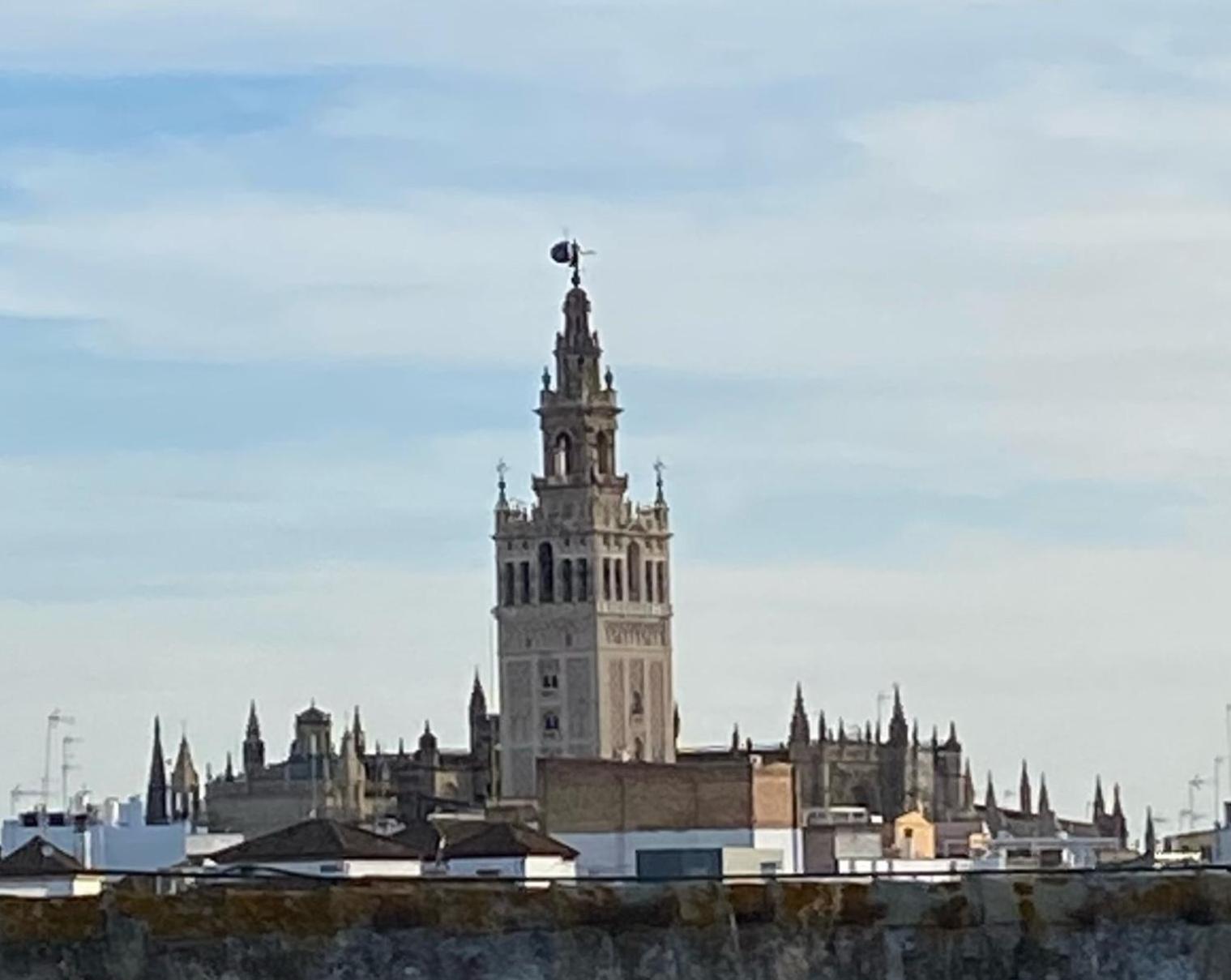 Atico Caleria Con Vistas A La Giralda *