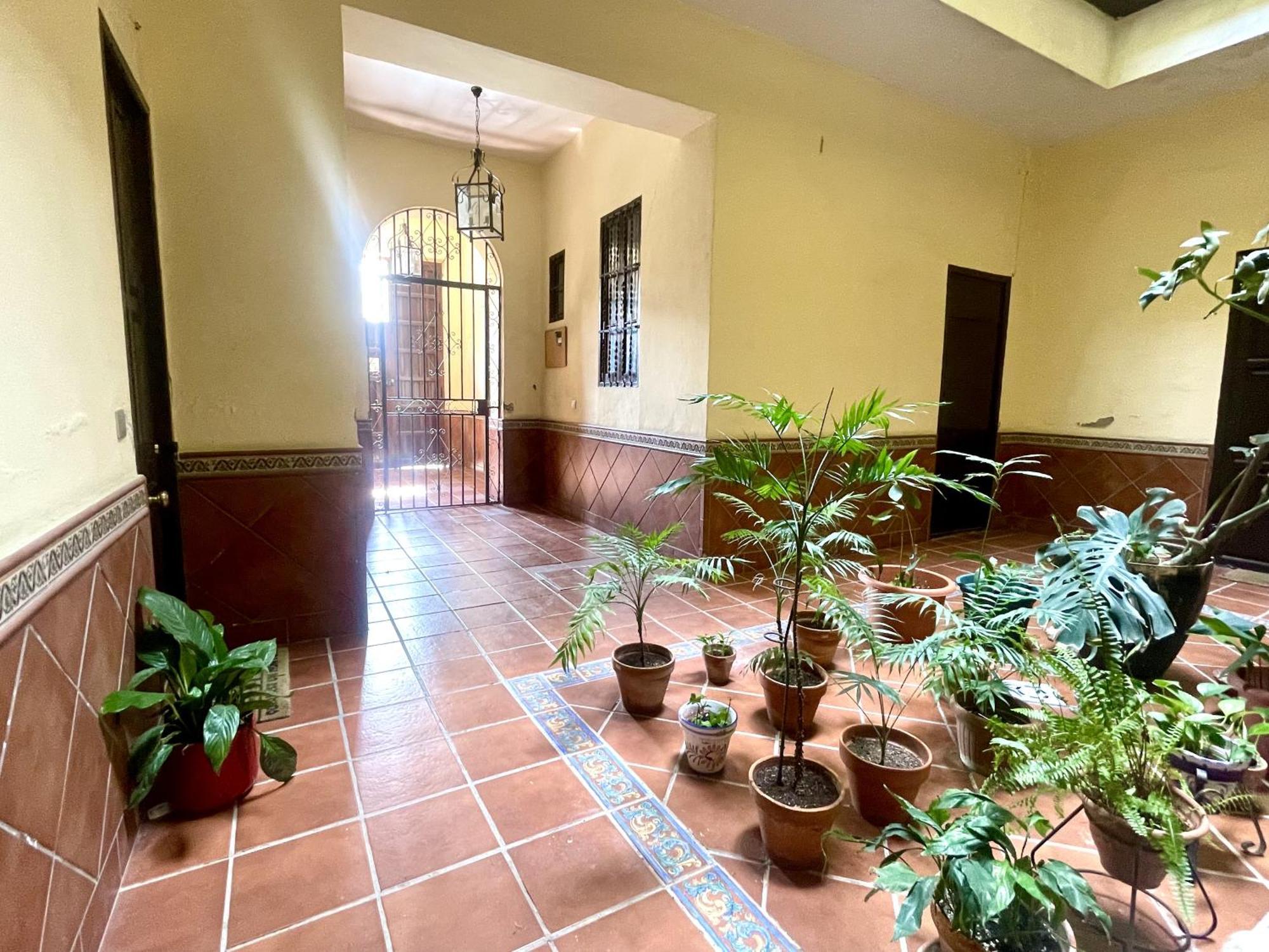 Apartamento Eva Recommends Plaza De San Marcos