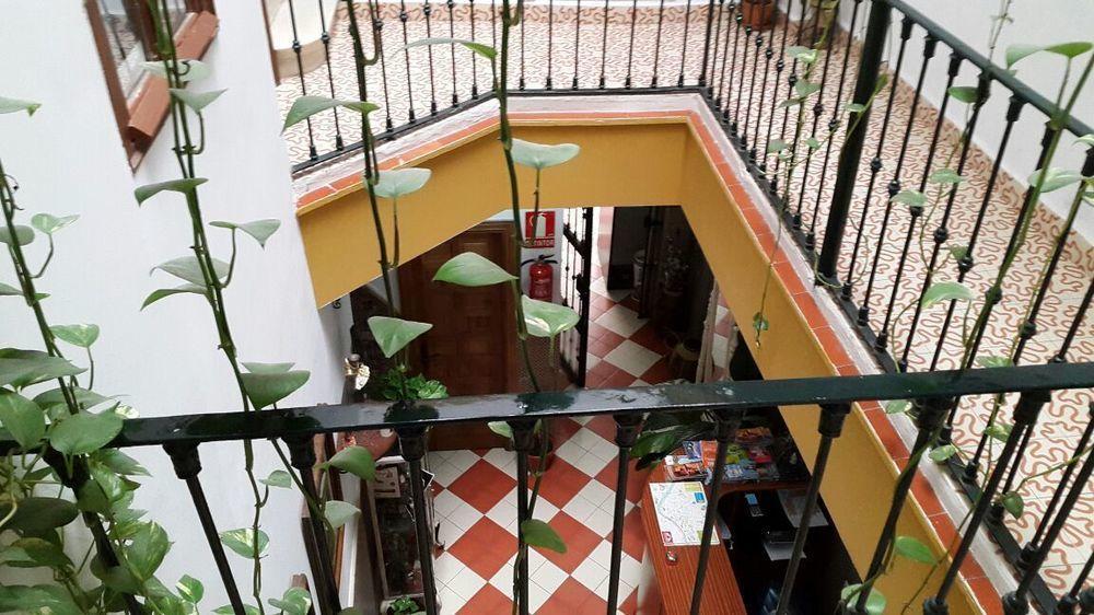 El Rincon De Carlota * Sevilla