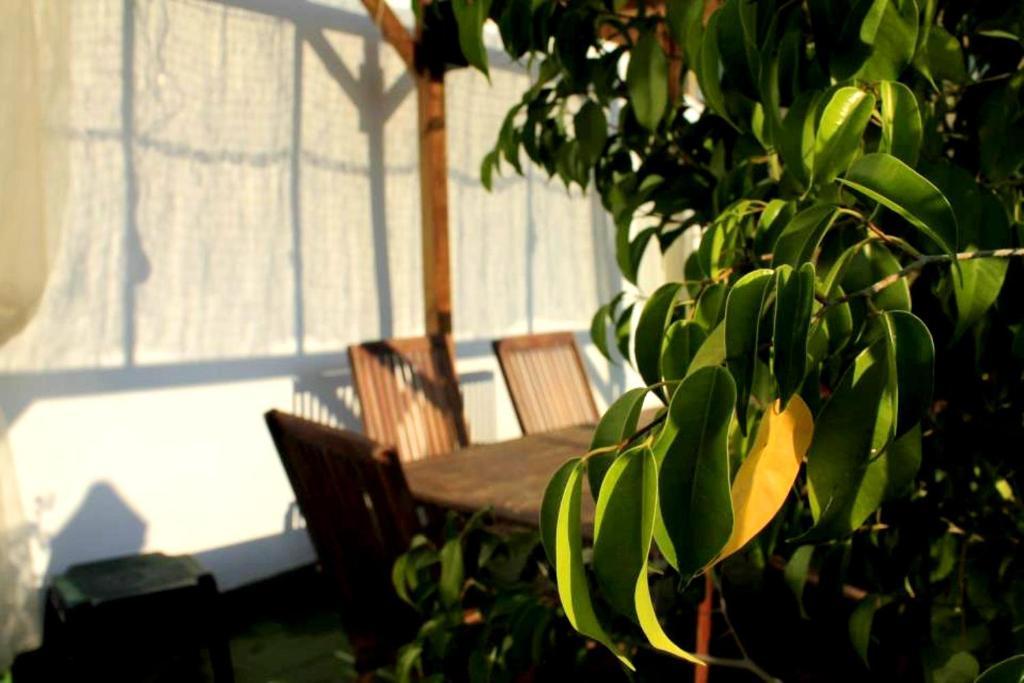 Hotel The Garden Backpacker
