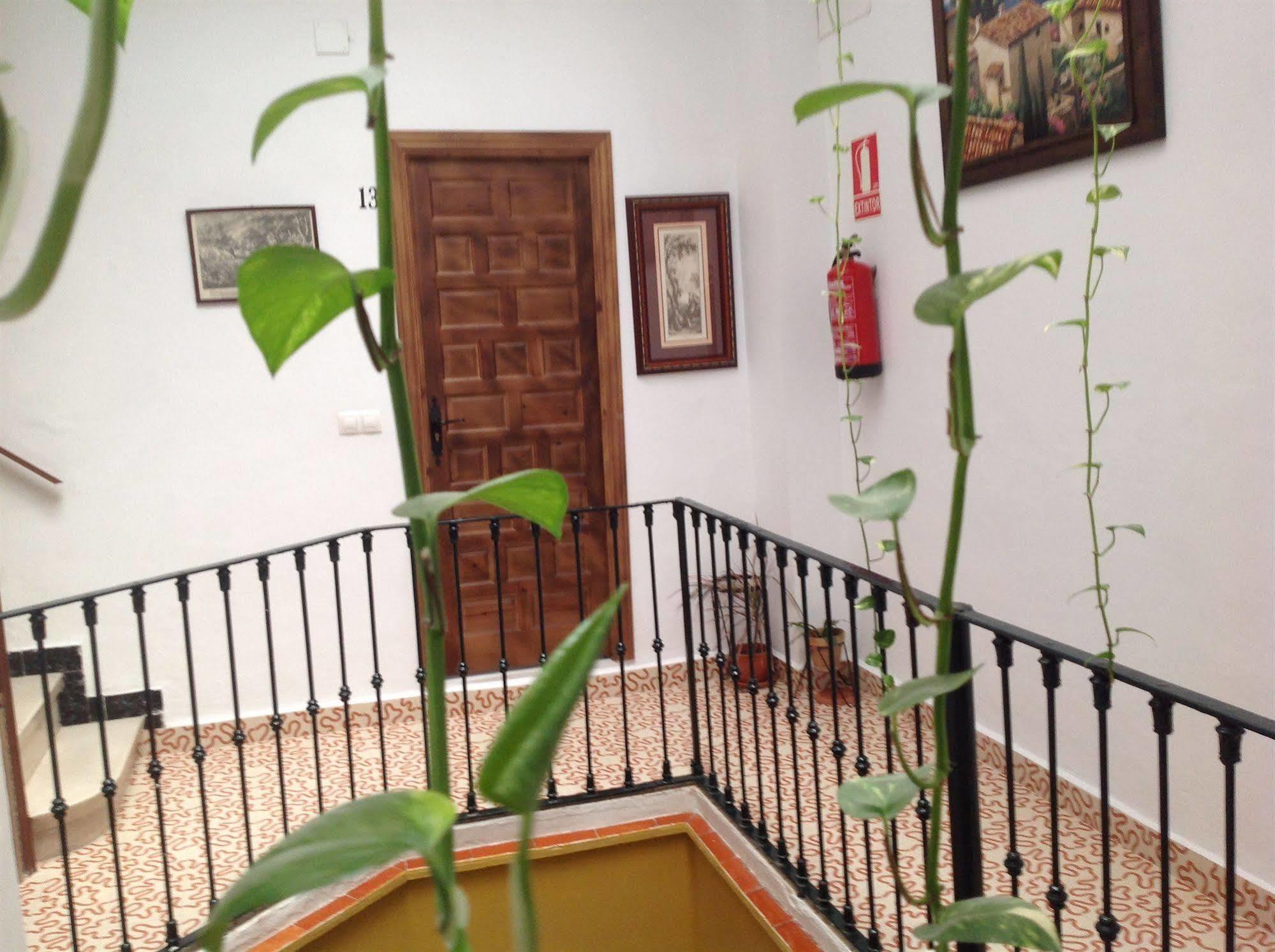 El Rincon De Carlota * Sevilla