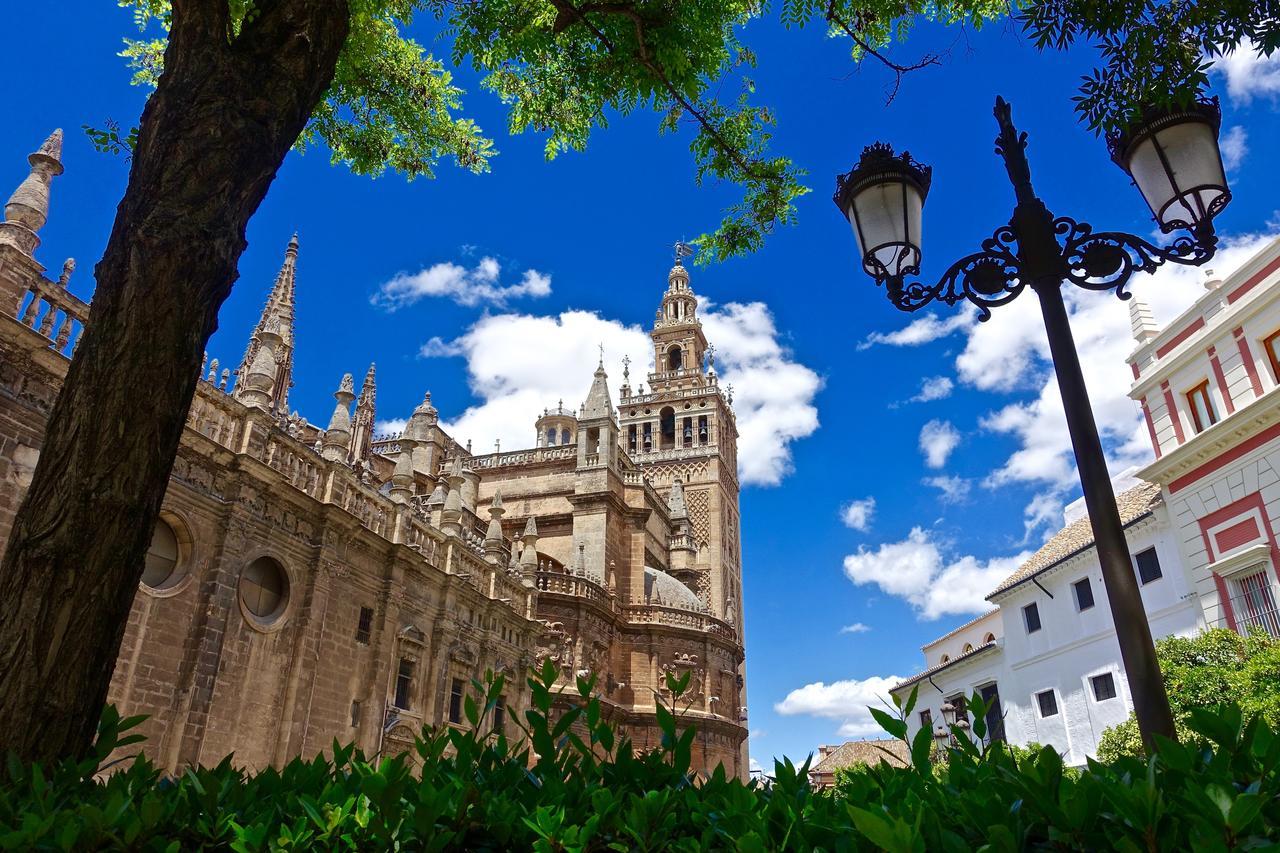 Hostly Acetres 1a Loft In Center, Comunal Terrace, Fibre,parking Optional Sevilla