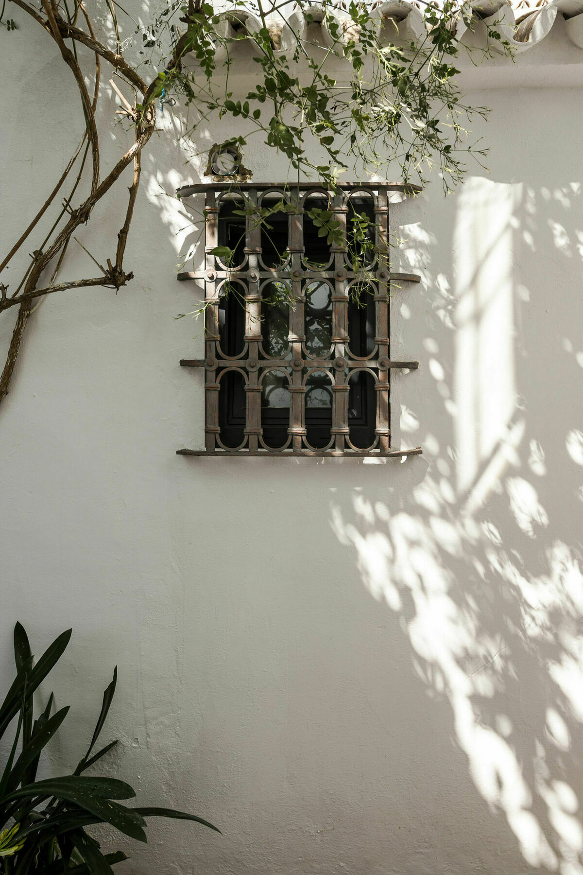Venerables Sevilla