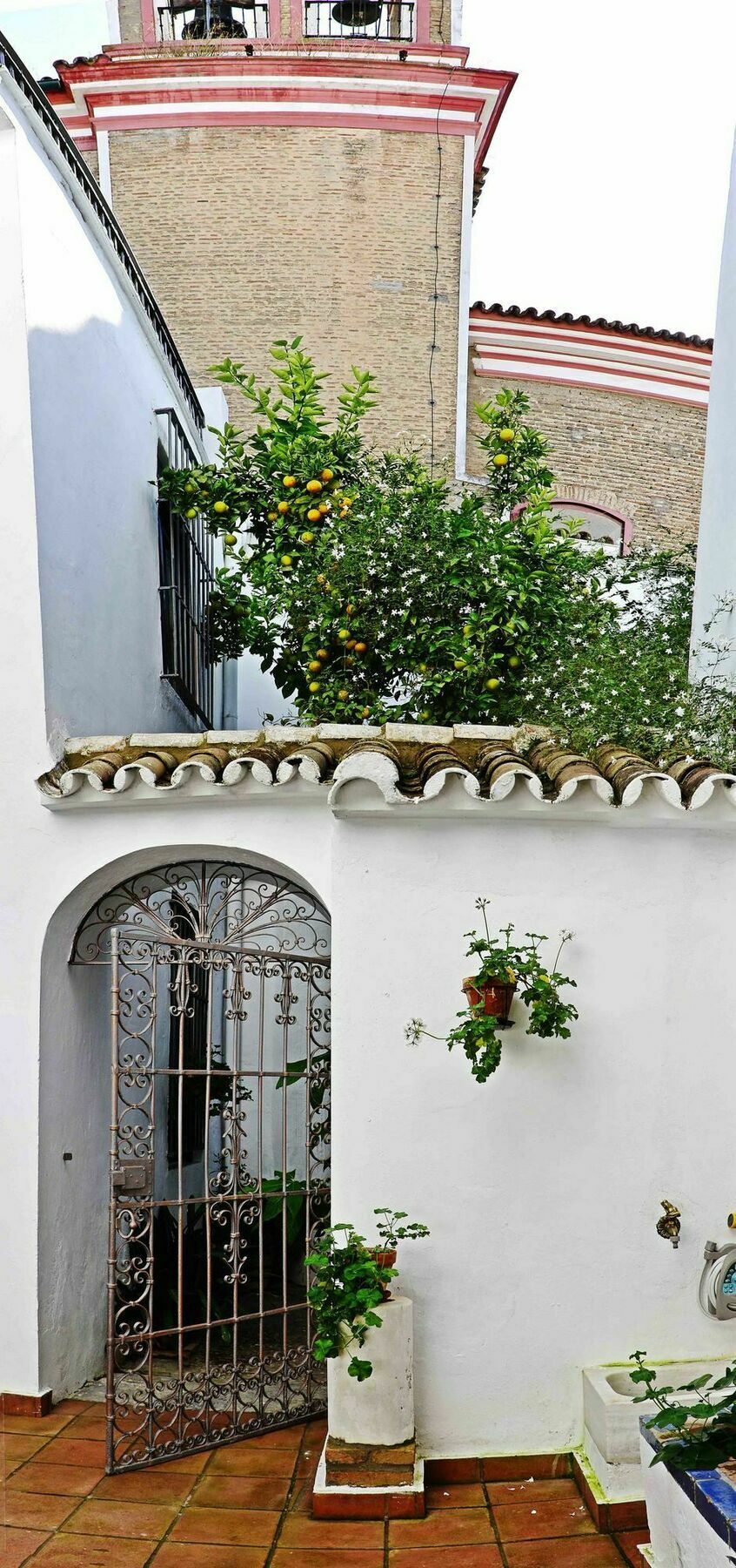 Venerables Sevilla