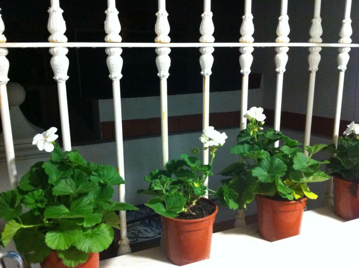 Atico Amistad Apartamento Sevilla