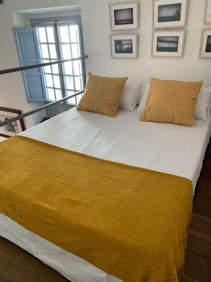 With Access To Rooftop Terrace *