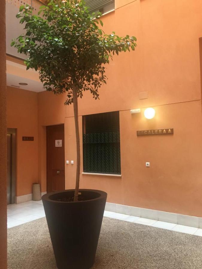 Calle Zaragoza 62, Apartamento *