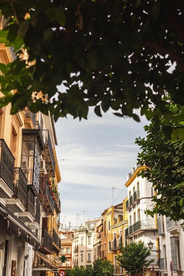 Joya Del Casco Boutique By Shiadu 3* Sevilla