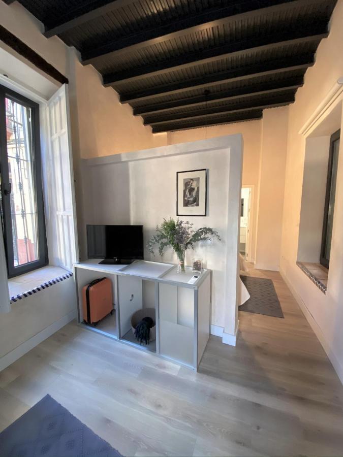 Casa Casco Historico * Seville