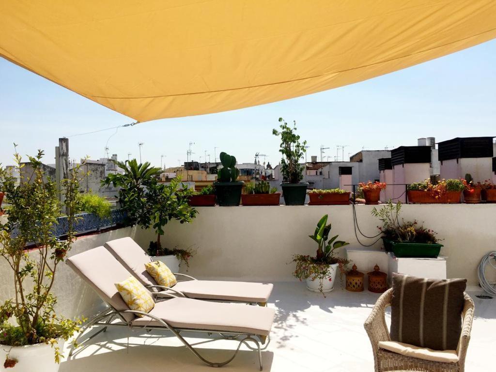 Eva Recommends Alberto Lista Atico Apartment