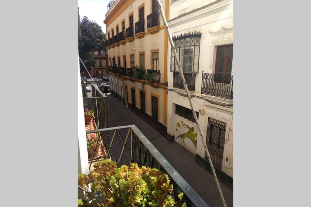 Centro Encarnación 1º D *