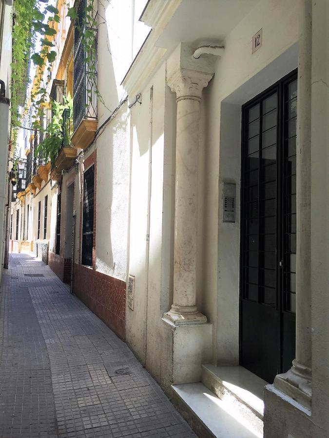 Luminoso Y Amplio En El Centro Histórico De Sevilla
