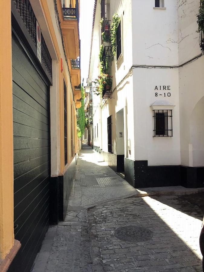 Luminoso Y Amplio En El Centro Histórico De Sevilla